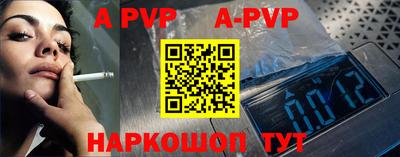 бошки Кингисепп