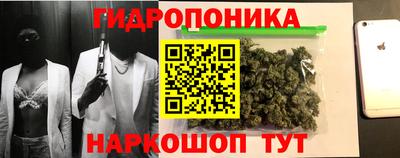 дмт Кимры