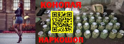 бошки Кингисепп