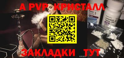 бошки Кингисепп