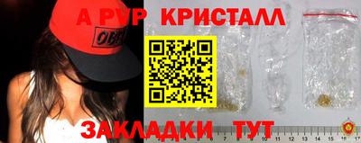 бошки Кингисепп