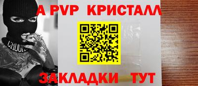 бошки Кингисепп