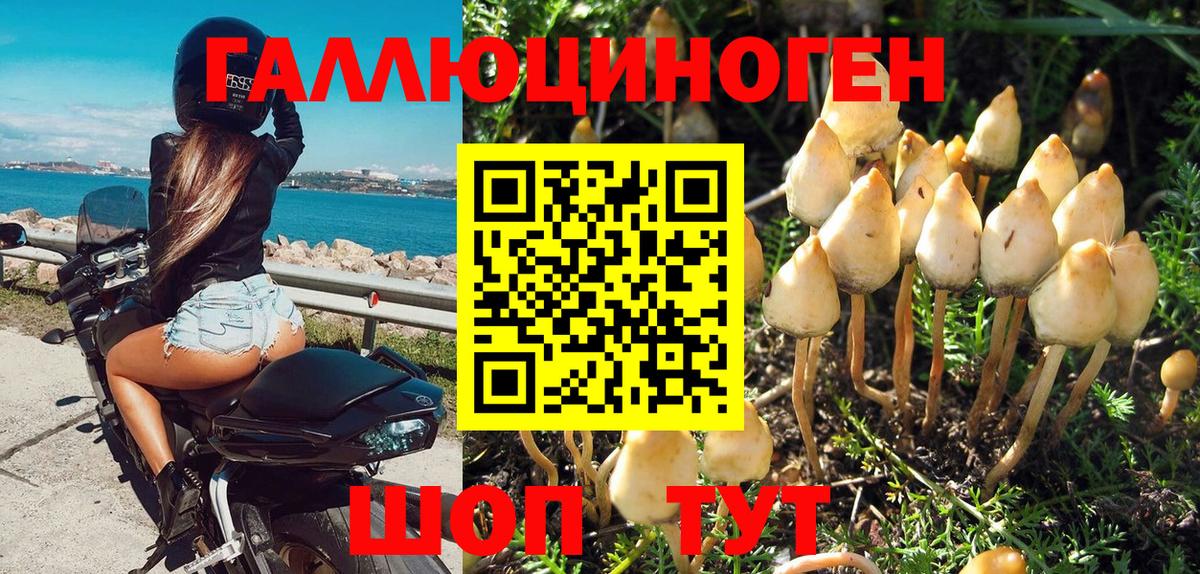 Псилоцибиновые грибы ЛСД Красноярск